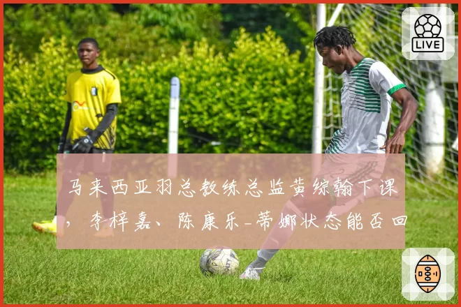马来西亚羽总教练总监黄综翰下课，李梓嘉、陈康乐_蒂娜状态能否回升？