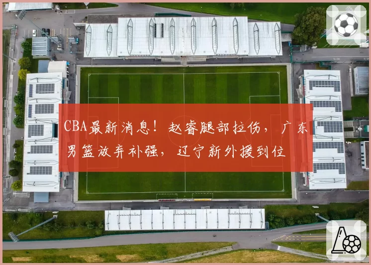 CBA最新消息！赵睿腿部拉伤，广东男篮放弃补强，辽宁新外援到位