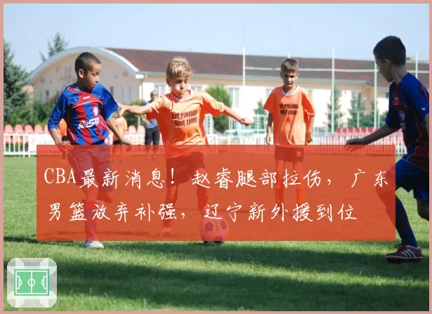 CBA最新消息！赵睿腿部拉伤，广东男篮放弃补强，辽宁新外援到位