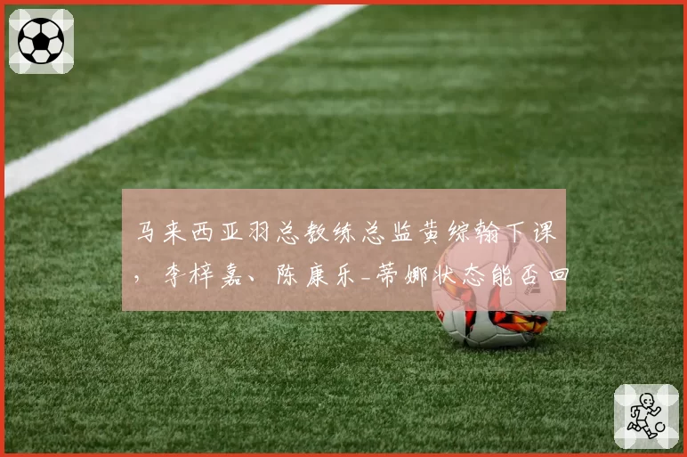 马来西亚羽总教练总监黄综翰下课，李梓嘉、陈康乐_蒂娜状态能否回升？