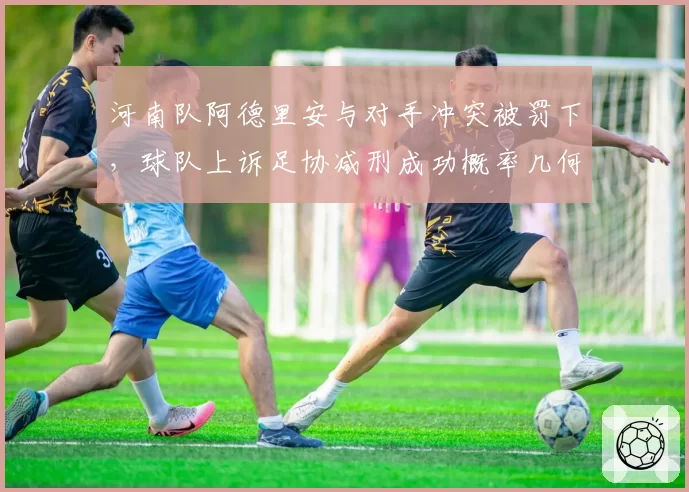 河南队阿德里安与对手冲突被罚下，球队上诉足协减刑成功概率几何？
